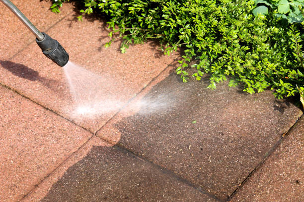 Best Commercial Building Pressure Washing  in Ramona, CA